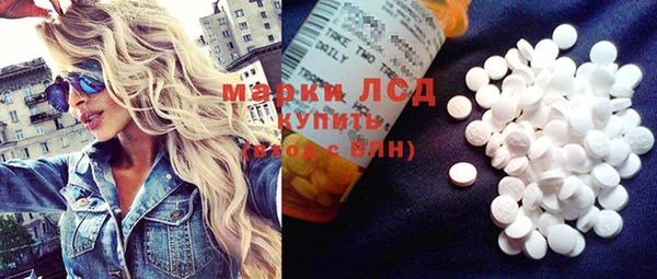 ГАЛЛЮЦИНОГЕННЫЕ ГРИБЫ Заволжье
