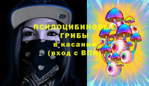 ГАЛЛЮЦИНОГЕННЫЕ ГРИБЫ Заволжье