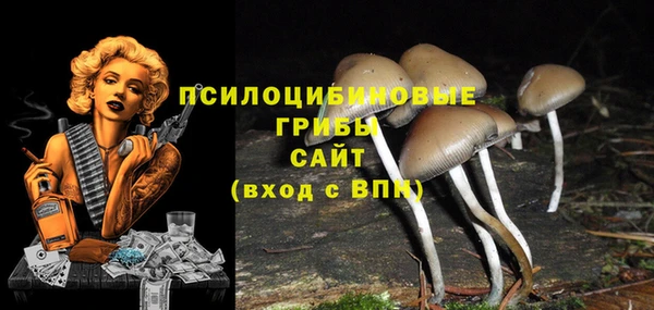 ГАЛЛЮЦИНОГЕННЫЕ ГРИБЫ Заволжье