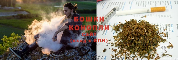 ГАЛЛЮЦИНОГЕННЫЕ ГРИБЫ Заволжье
