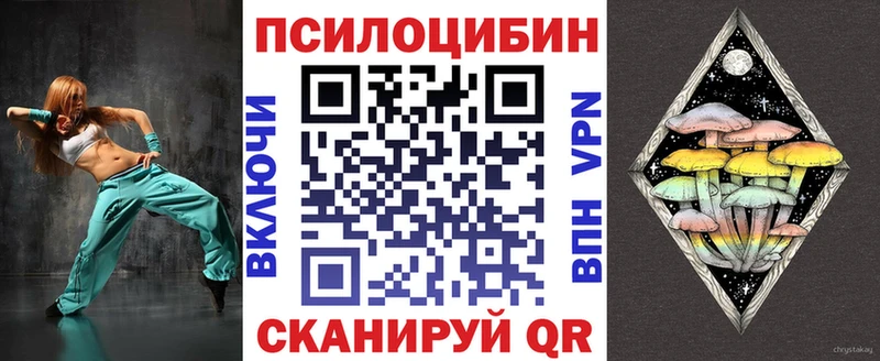 Купить где  Феодосия  Галлюциногенные грибы Psilocybe 